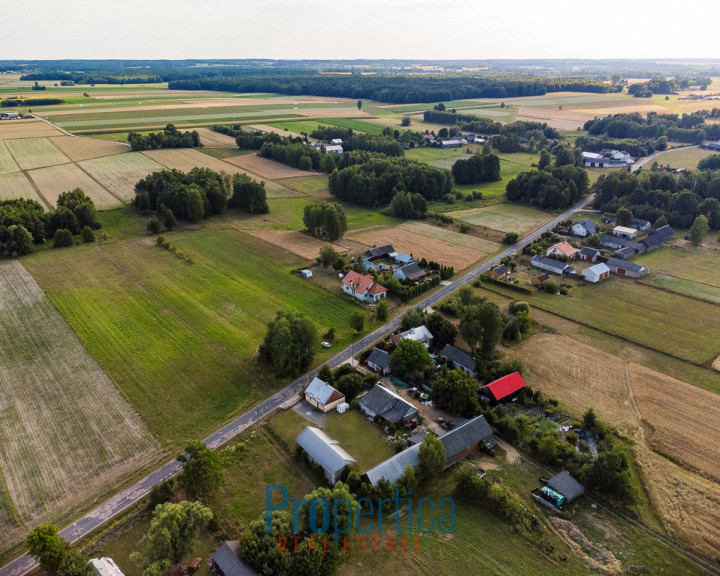 Dom Sprzedaż Wierzbno